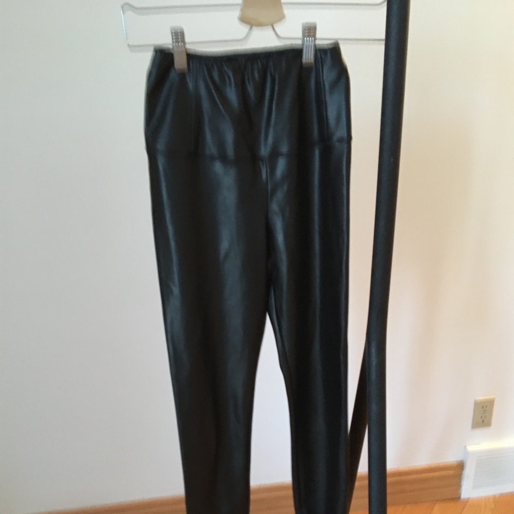 Aritzia Wilfred free /Daria Pants